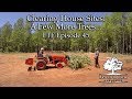 Clearing House Sites: A Few More Trees