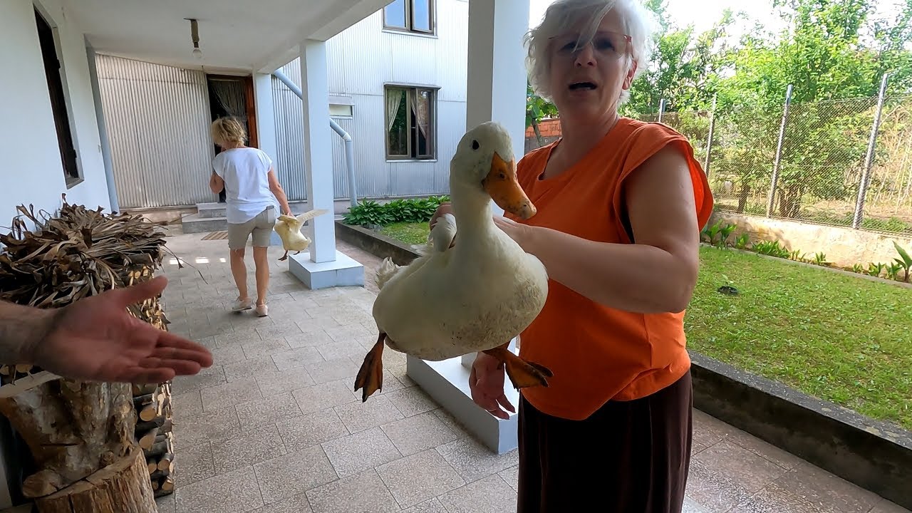 Diese georgische Pension macht mich fertig....