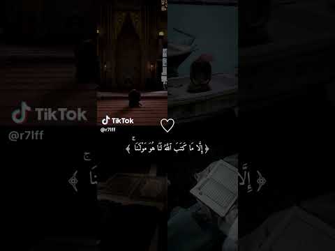 ٢٥ نوفمبر ٢٠٢٣