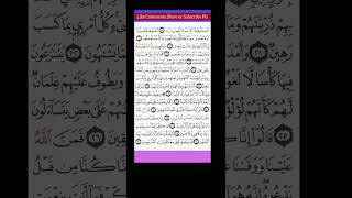 Surah At Tur | Mohammad Fakih | #quran #shorts #shortvideo