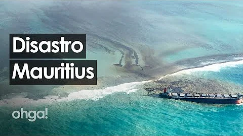 Come risolvere il problema dell'inquinamento del petrolio?