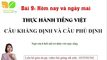 Thực hành tiếng việt Câu phủ định, câu khẳng định- Ngữ văn 8- Kết nối tri thức  (Cô Oanh)