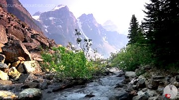 سورة الهمزة ~ وديع اليمني