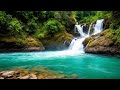 Peaceful Forest River And Gentle Stream 🌊 Relaxing Waterfall For Calm And Stress Relief