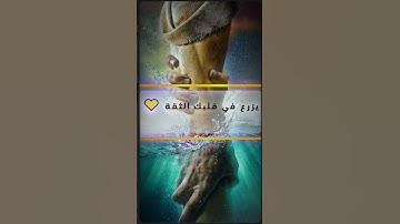 "💔 اكتشف السند الذي لا يخذلك أبدًا! (سورة القصص)"