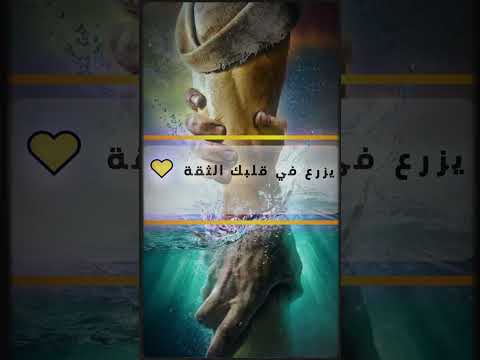اكتشف السند الذي لا يخذلك أبد ا سورة القصص