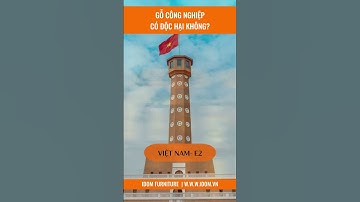 Sự thật gỗ công nghiệp có độc hại không? #shorts