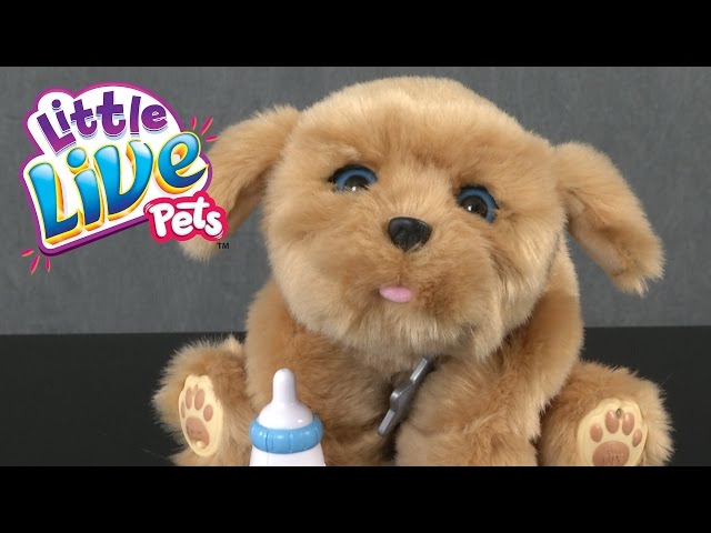 Little Live Pets Snuggles My Dream Puppy from Moose Toys 