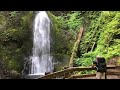 Silent Hiking Marymere Falls Trail At Crescent Lake -Olympic National Park