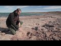 Reportage | Patagonie, terre de dinosaures