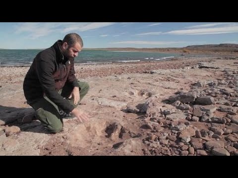 Vidéo: Un Fossile De Dinosaure A été Trouvé Sur La Photographie De La Planète Rouge - Vue Alternative