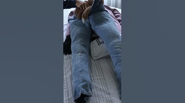 Making  A Real Life Ragdoll (Of Myself)