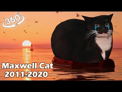 Vr 360° Goodbye Forever Maxwell Cat 2011-2020 R.I.P.