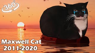 VR 360° Прощай навсегда Maxwell Cat 2011-2020 / RIP😭🙏