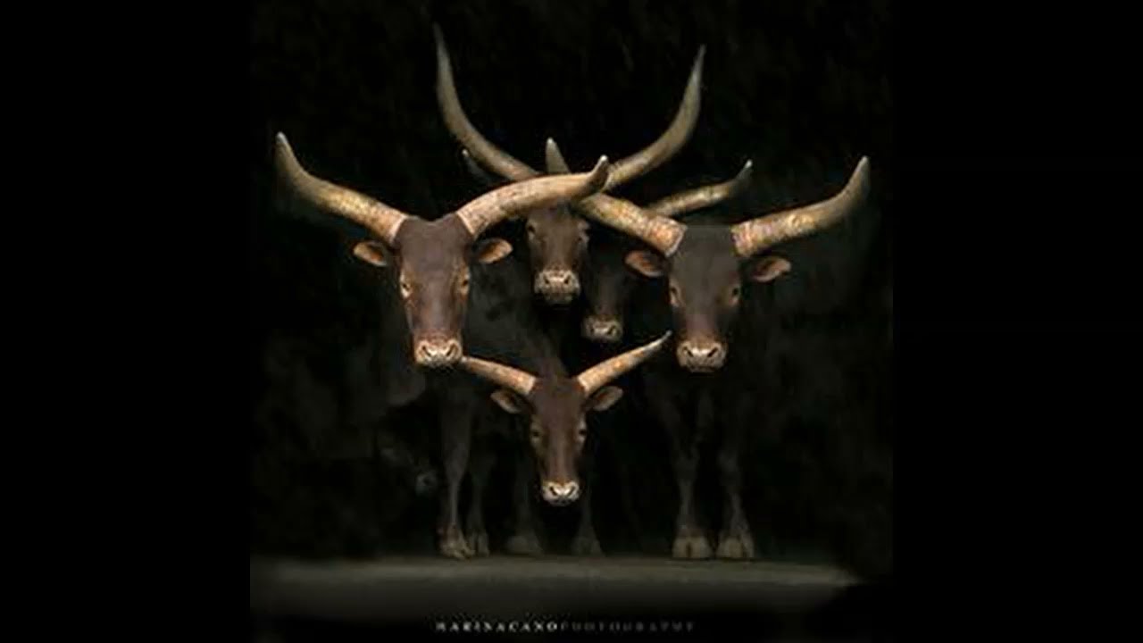 mbambo mbiza : Bachwezi Empire Worship And Fellowish Foundation Song