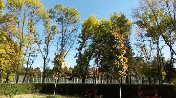 Test video Allview E4 Lite