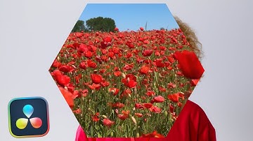 Hexagon Iris Transition l Davinci Resolve 20