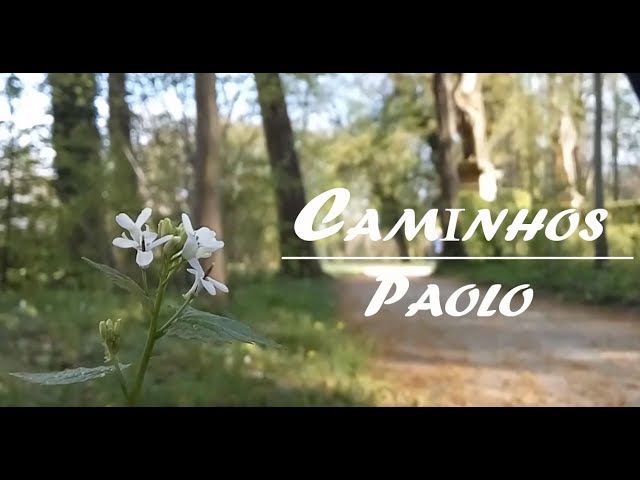 PAOLO - CAMINHOS