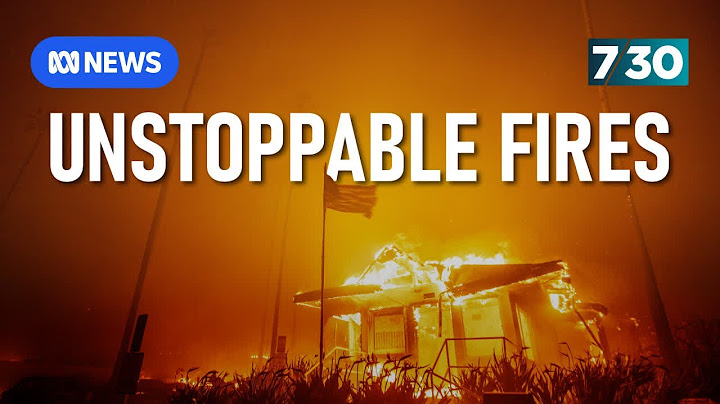 Why battling LA's wildfires is like 'trying to stop a typhoon' | 7.30