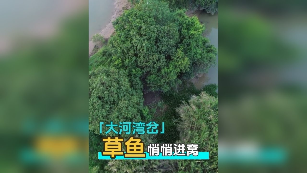 被大家嫌弃的大河湾岔口，没想到有这么多鱼