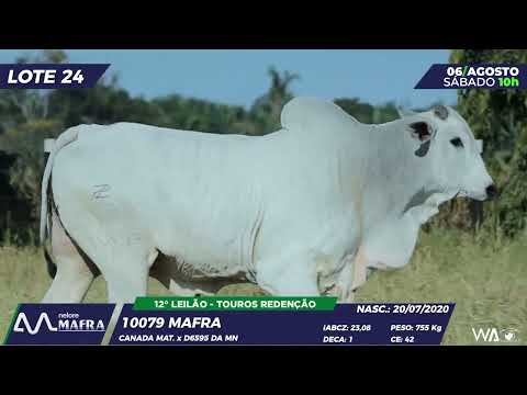 LOTE 24 MFRA 10079