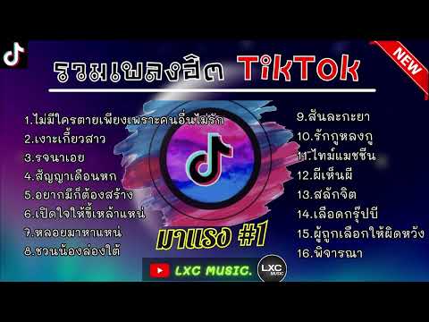 รวมเพลงฮิตใน TikTok [ ไม่มีใครตายเพราะคนอื่นไม่รัก ] เพลงเพราะมาแรงในTikTok 2023