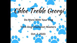 Trick Dog Champion Masters Chloe