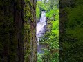 Hidden waterfalls @ Dingmans Falls PA