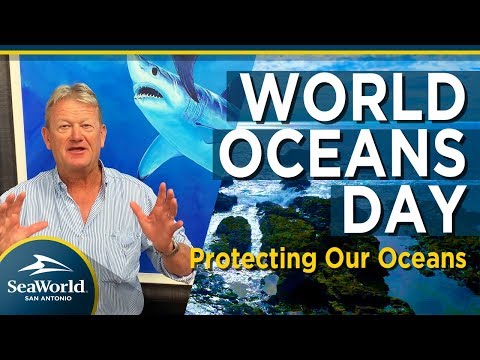 World Oceans Day | SeaWorld® San Antonio