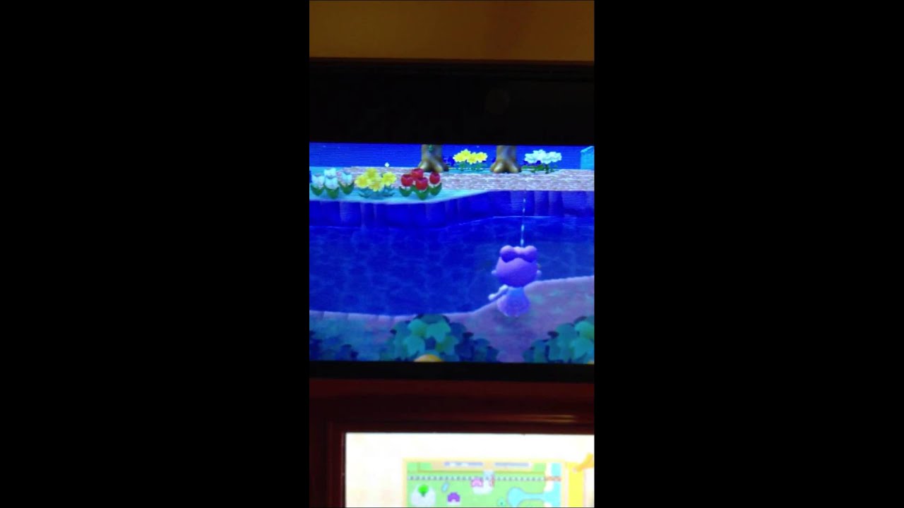Animal Crossing New Leaf Catching An Arowana Youtube