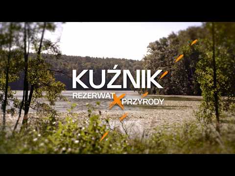 Kuźnik Nature Reserve