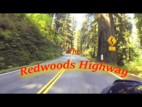 Ride to the Redwoods: The Redwood Highway, Grants Pass to Crescent City