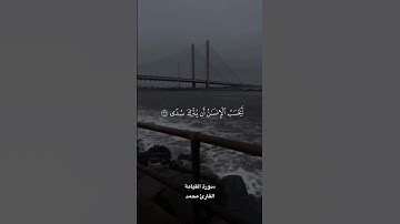 ‏￼ ‏  سورة القيامة فَلَا صَدَّقَ وَلَا صَلَّىٰ ۝ وَلَـٰكِن كَذَّبَ وَتَوَلَّىٰ ￼