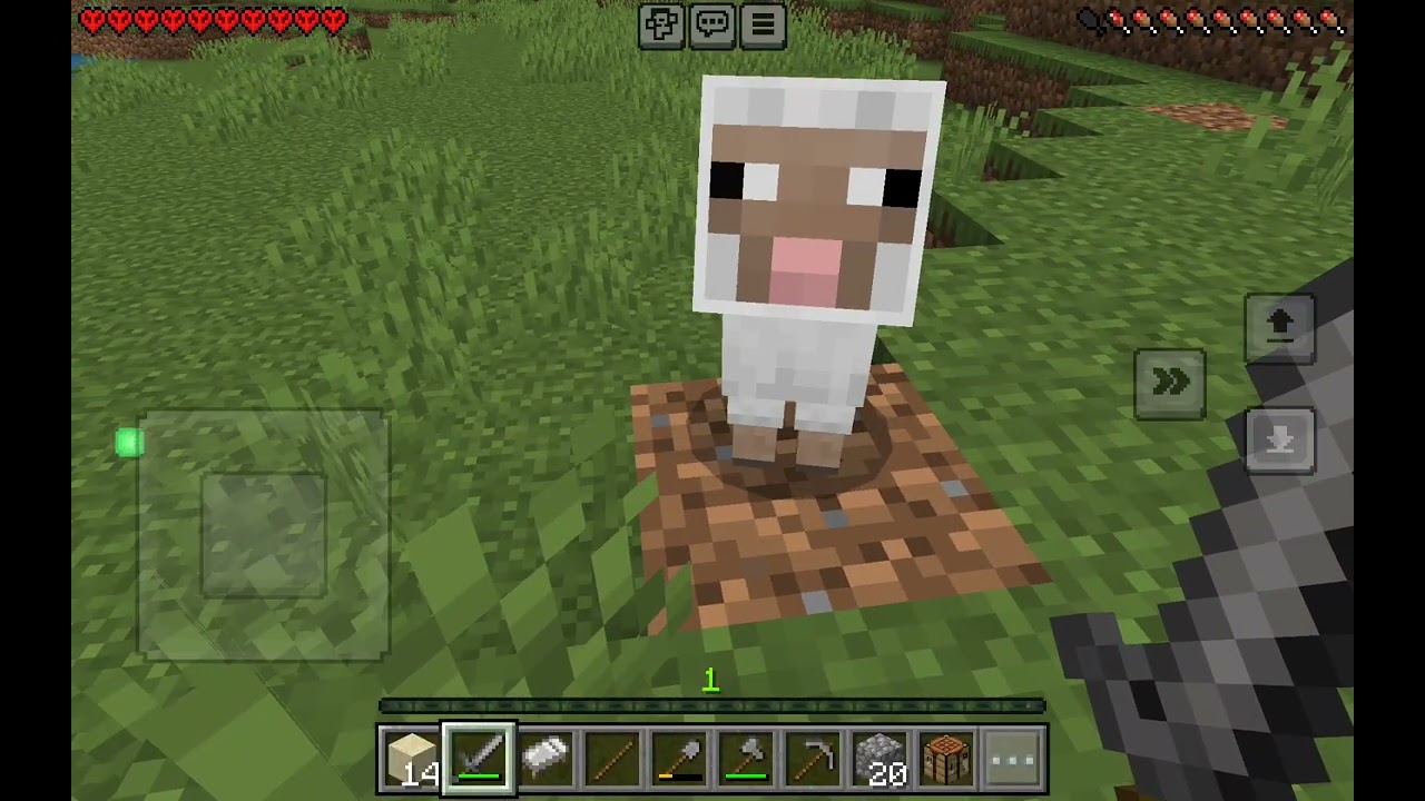 Minecraft ama Hardcore