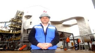 TVN En octubre Coelemu tendrá planta Biomasa