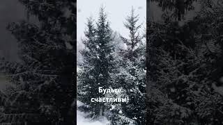 Это работает безотказно! #мудрость #саморазвитие #природа #путешествия #travel #мудрыемысли #любовь