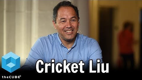 Cricket Liu, Infoblox | CyberConnect 2017