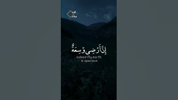 آيات بينات من الذكر الحكيم #قرآنكريم عبد الرحمن مسعد