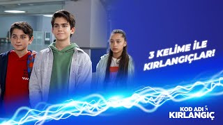 3 Kelime Ile Karakterini Tanıt - Kod Adı Kırlangıç Trt1