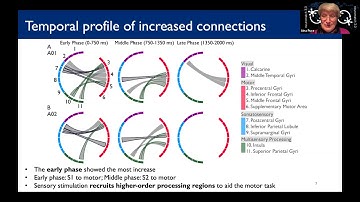Talk: Towards Machine to Brain Interfaces: Sensory Stimulation Enhances Sensorimotor Dynamic Functi…