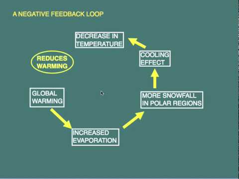 Tips for the IB Environmental Systems and Societies Exam - YouTube
