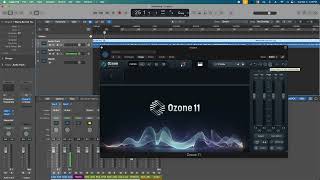 Getting Started With Ozone 11