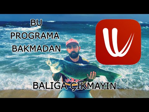 Video: Hava medyasını nasıl kullanırım?