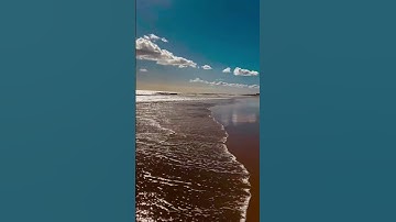 سورة الضحى❤️الشيخ هشام الهراز تلاوة رائعة خاشعة تريح القلوب و الأعصاب @مجيدوchanel