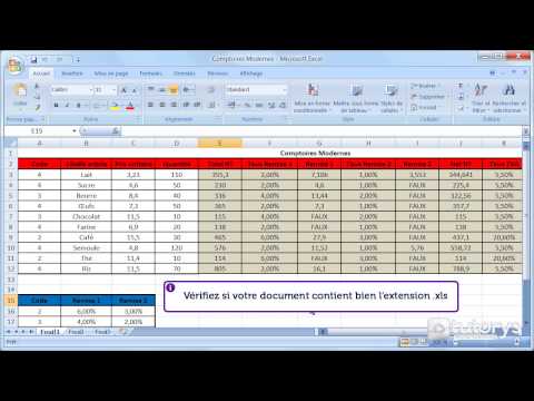 Comment assurer la compatibilité des fichiers Excel 2007 ?