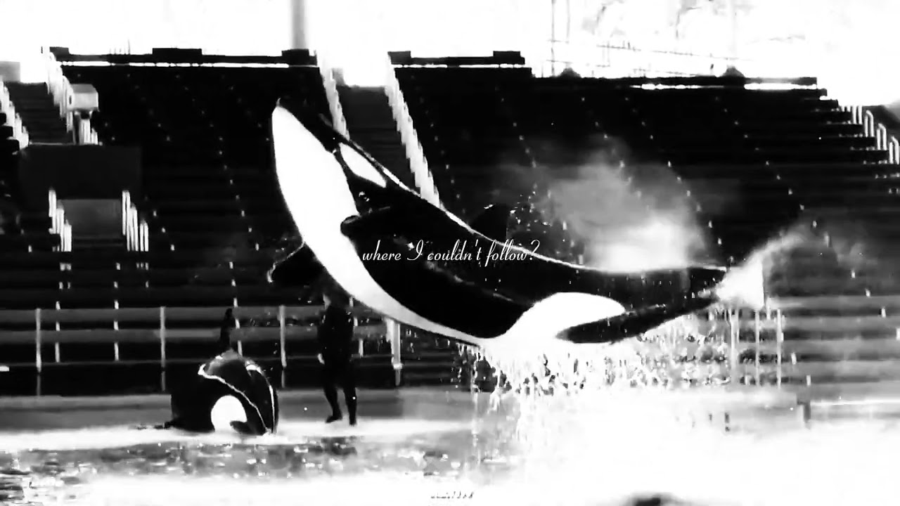 𝐖𝐡𝐲 𝐝𝐢𝐝 𝐲𝐨𝐮 𝐡𝐚𝐯𝐞 𝐠𝐨? {𝑲𝒂𝒎𝒆𝒂}