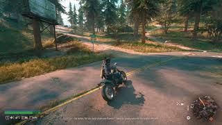 Days Gone | PC | Reshade | RTX 2070