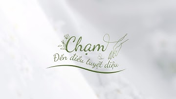 BỘ SƯU TẬP 2023 "Sự kết nối" | Everon