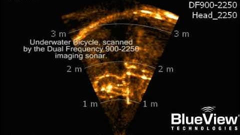 BlueView DF900-2250 Bike Scan.avi