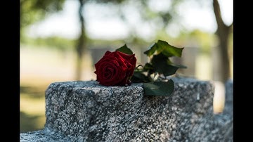 Mark Cuban Slams Peter Schiff Gold is Dead Bitcoin and Ethereum Are Today